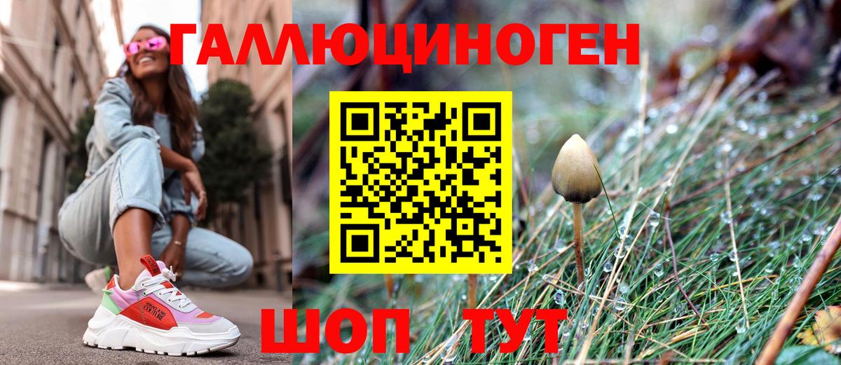 Галлюциногенные грибы MAGIC MUSHROOMS  Вход с VPN  купить закладку  Саранск 